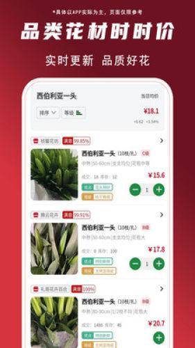 花盛锦图片