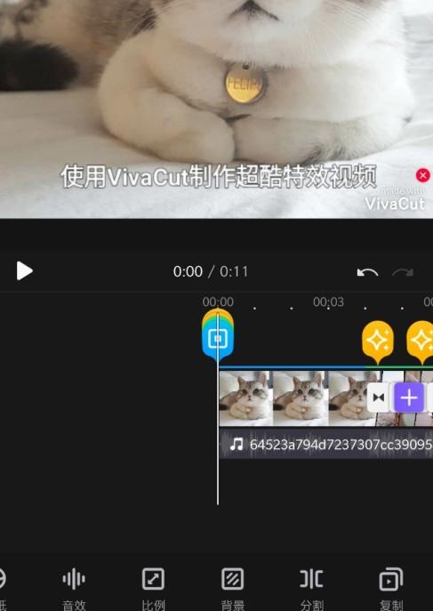 VivaCut图片10