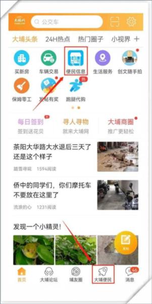 大埔网2