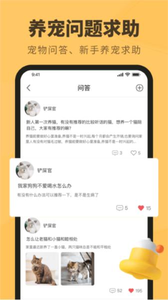 宠物日常图片2