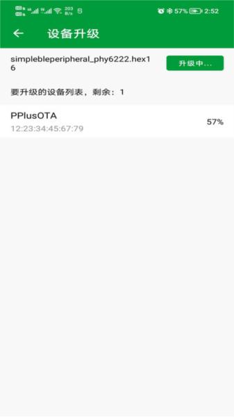 phyota图片