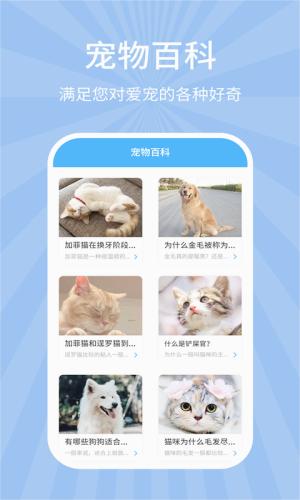宠物狗猫交流器图片