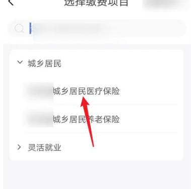 云缴费11
