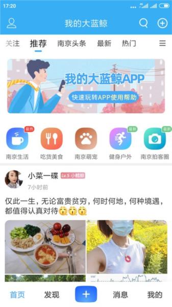 我的大蓝鲸图片