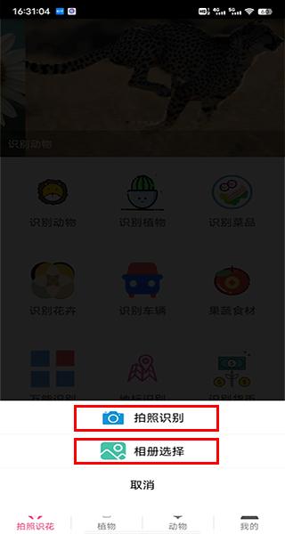 拍照识花神器图片3