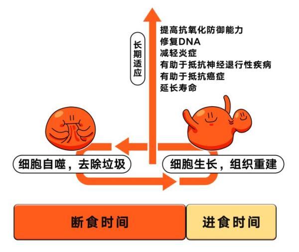 Fasting Tracker图片3