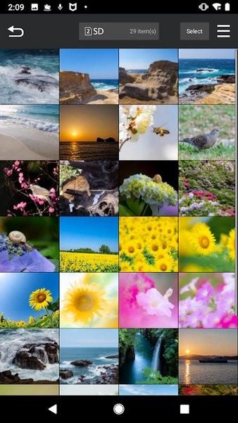 LUMIX Sync图片