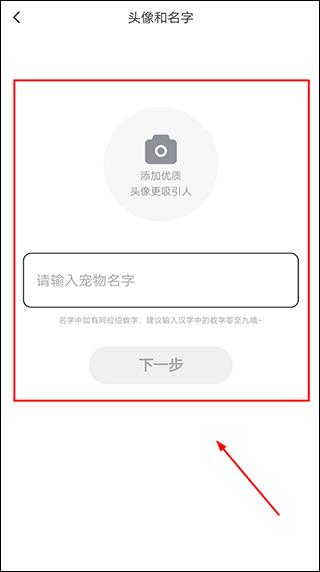 友猫5