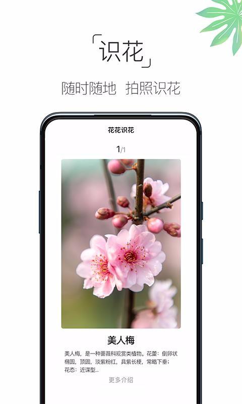 养花大全