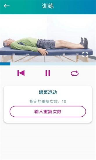 捷行伴侣1