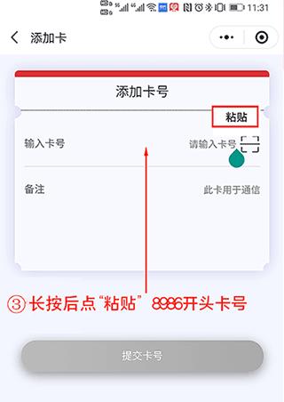 表鸽8