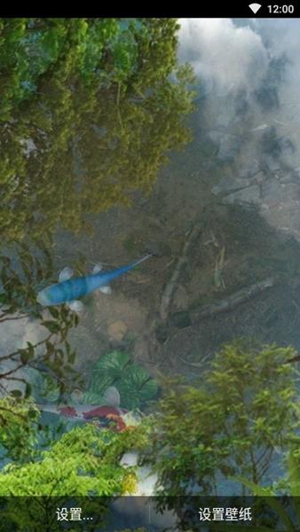 鱼池动态壁纸1
