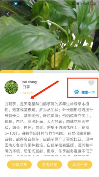 智慧识物图片12