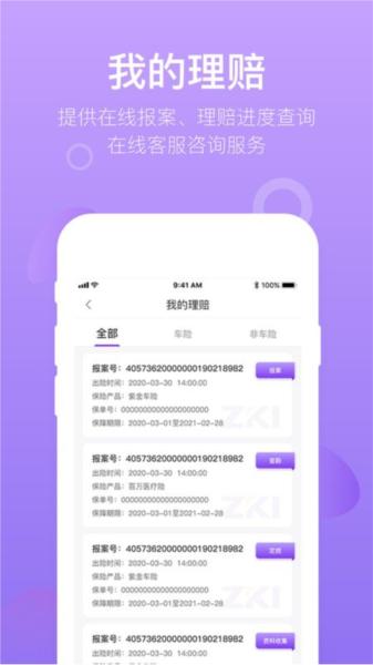 掌上紫金图片