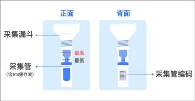 基因宝2