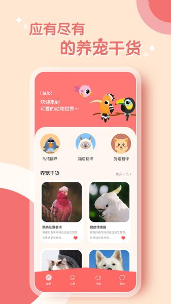 鸟语翻译器图片1