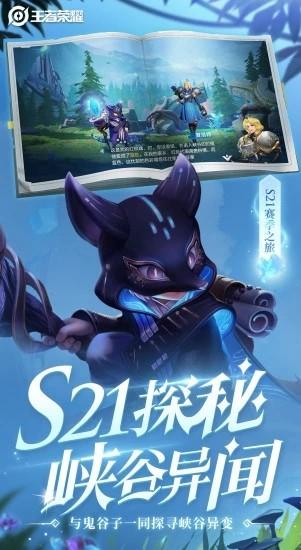 王者变身器图片