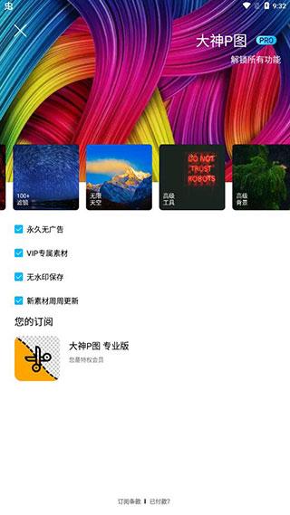大神P图图片1