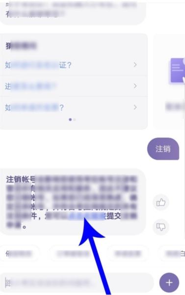 网易考拉图片12