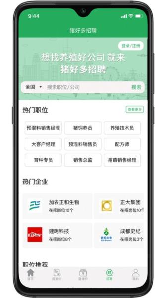 猪好多图片2
