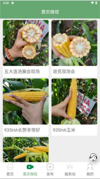 丰泰惠农图片