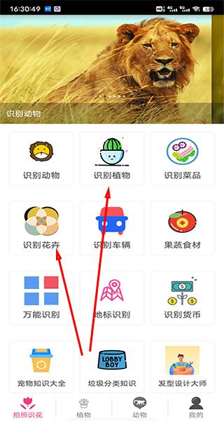 拍照识花神器图片2