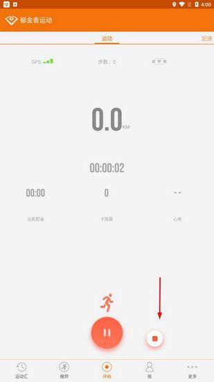 郁金香运动图片