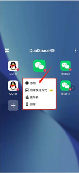 DualSpace Pro6