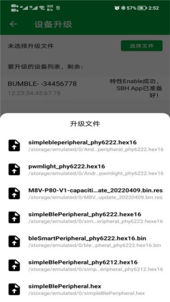 phyota图片