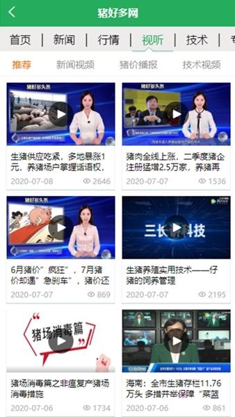猪好多图片1