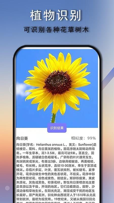 拍照识别