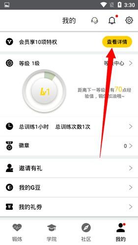 G动17