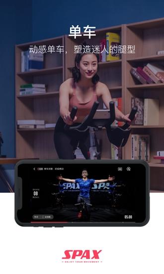 SPAX图4