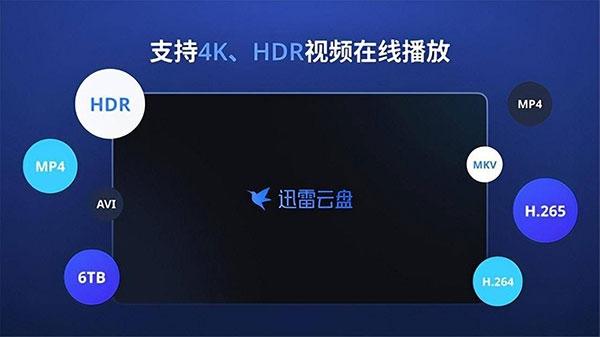 迅雷云盘图片3