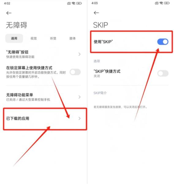 SKIP图片3