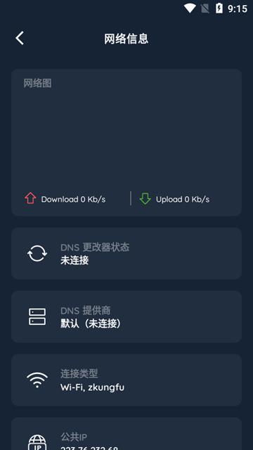 DNS修改器中文版图片1