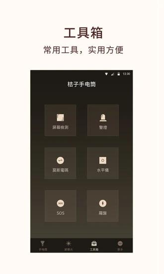 桔子手电筒图片3