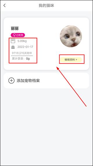 友猫6