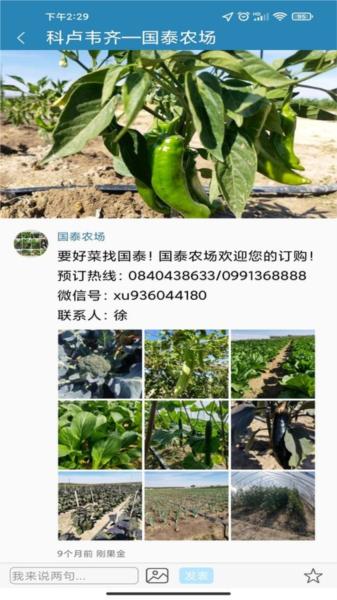 海外手机充值图片