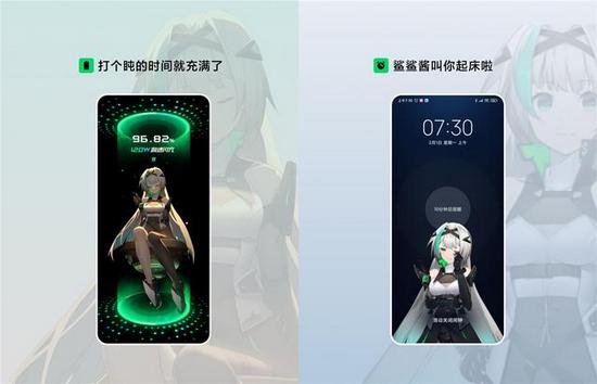 鲨鲨酱2