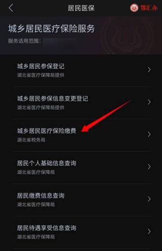湖北政务服务网手机版图片5