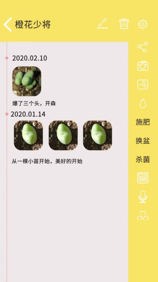 多肉花草日记app最新版