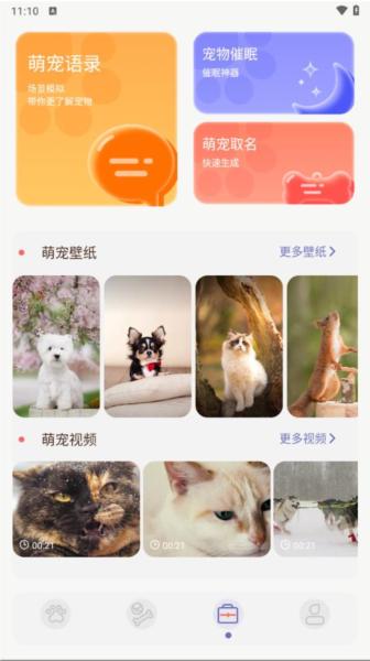 猫咪聊天翻译器app图片
