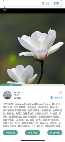 识花君图片9