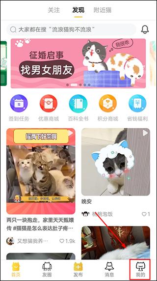 友猫2