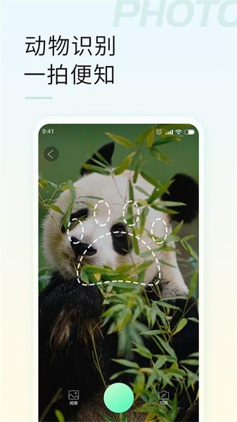 智能拍照识物图片
