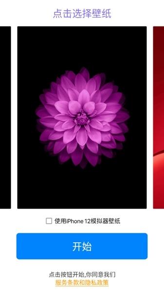 iphone12模拟器图片5