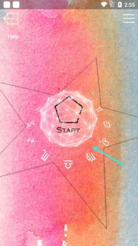 占星猫图片6