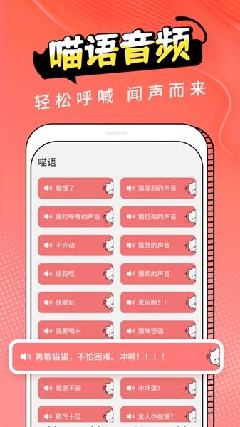 pet猫翻译2