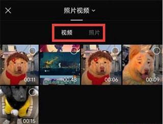 Capcut图片5